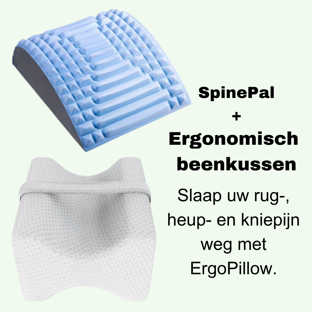 SpinePal + ErgoPillow Bundle